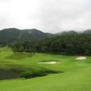 행정1길 이미지