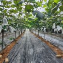 벧엘농원 이미지