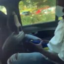 차메디컬 이미지