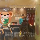 어린왕자치과 이미지
