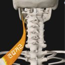 핏허브휘트니스 이미지