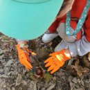 계수농장 이미지