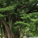 이서우체국 이미지