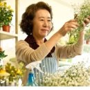 고운할머니상회