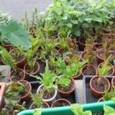 해님약국 이미지