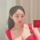 육덕돼지 이미지