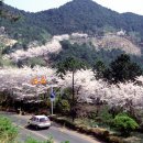 2호선 장산역 8번출구 이미지