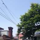 신한장