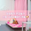 방치 없는 신림메이드카페 다라미메이드집사카페