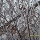 바우산장 민박 | 21차 하늘재-차갓재