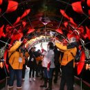 BJ스크린골프 이미지