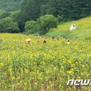 (강릉 사임당 부동산) 열대야 없는 쾌적한 고원지대 &#39;태백&#39; 이미지