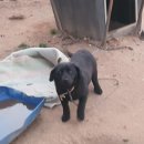 공음실내체육관 이미지