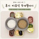 하루세끼 | 후기 이유식 시작, 하루 세끼 식단과 새로운 식재료 잔멸치