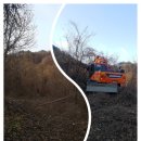 영남이네농장 이미지