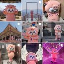 밀양역종합관광안내소 | 밀양 캐릭터 굿바비 굿즈 판매하는 곳 밀양종합관광안내소
