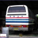 동해상사고속(주) 이미지