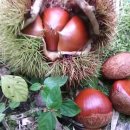 금주농장 이미지