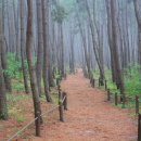 나들이어린이공원 이미지