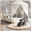 미소주야간보호센터 | 영월 유기동물보호센터 방문 후기 그리고 킹찰스테리어와의 특별한 만남