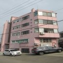 남구-81 이미지