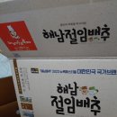 써니식자재마트 | 경산 써니마트에서 수령한 해남 배추 후기!