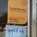 비타가든 | 춘천 신북 카페, 아기자기한 분위기와 귀여운 빵들이 가득한 "파머스가든" 후기