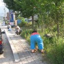 지내권역마을 이미지