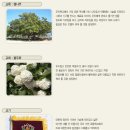 가천초등학교병설유치원 이미지