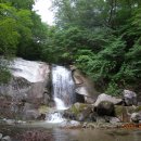 초록화원 이미지