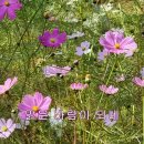 고요 속으로 불어가다 - 양진원 바리톤 (이창희 시,서혜선 곡) 이미지