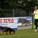 Gumiland 이미지