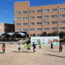 명촌초등학교 이미지