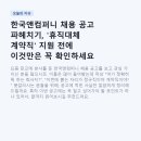 한국앤컴퍼니 채용 공고 파헤치기, '휴직대체 계약직' 지원 전에 이것만은 꼭 확인하세요