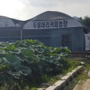 두물머리커피농장