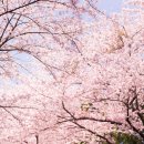 제주생활체육공원 | 2026년 제주 봉개동 파크골프 전국대회 유치 공약! 제주생활체육공원 활성화 기대되는 이유 3가지