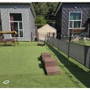 딩동댕애견스파풀빌라 이미지