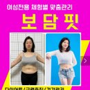 보담핏