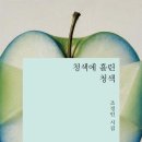 조정인 시집 《청색에 흘린 청색》(창비, 2026) 이미지