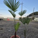 연월농장1 이미지