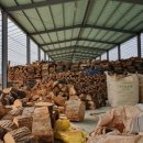 청풍한우농장 이미지