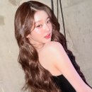 퍼피스타일 이미지