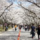 백남준로2 이미지