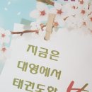 목련태권도 이미지