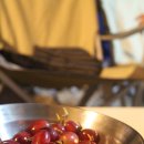 봉평마가리 캠핑장 이미지