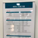 레푸스계양