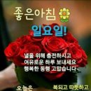 🟣엉덩이 기억상실증🟣 이미지