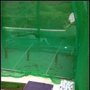 능강민박 이미지