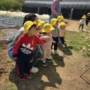 지훈농장 이미지