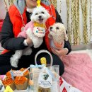 놀러오개(도화점) 이미지